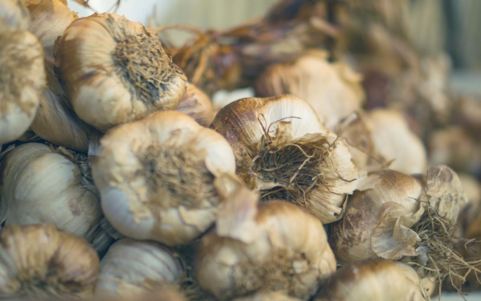 Collaborative street food education partnerships